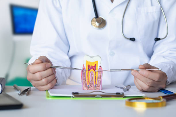 Best Emergency Care for Gum Disease in St Marys, KS